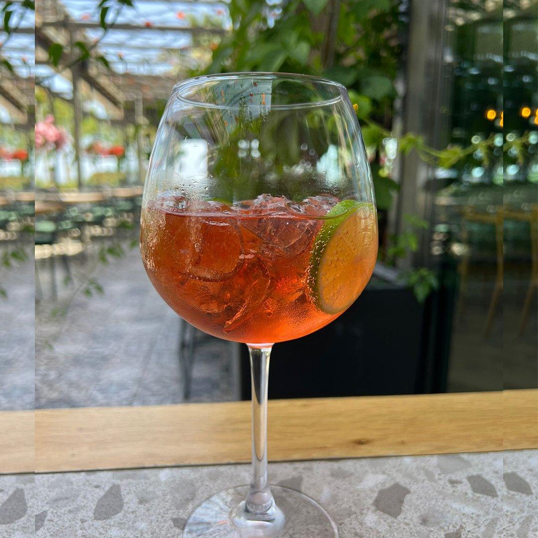 Campari Tonik 